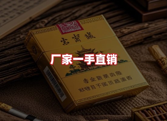 专业团队